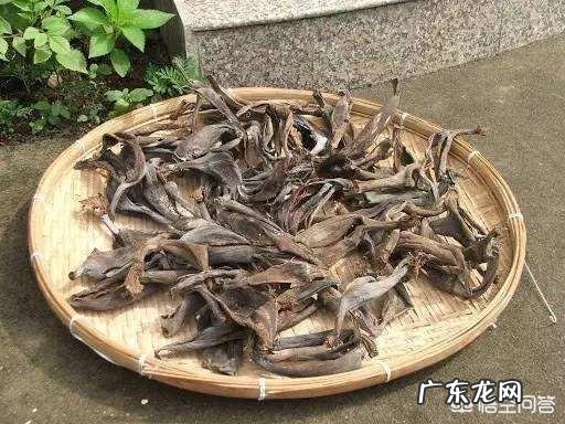 香蕉皮沤制后能浇茉莉花吗?