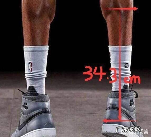 NBA球星的体型在体坛算是最高大的吗?为何?