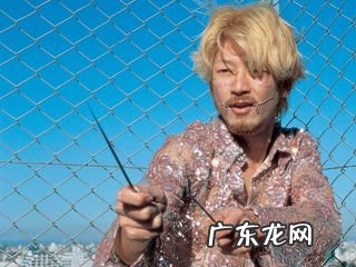 Cult Film 影史上最经典的十部邪典电影