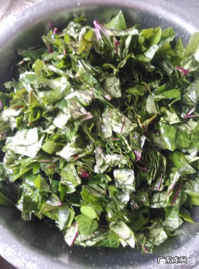 母猪吃洋葱秧和土豆秧行吗?