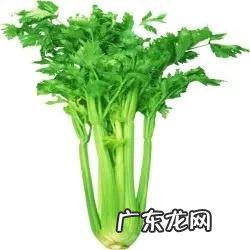 哪些食物是天然抗癌之王？ 洋葱是抗癌的最佳食物