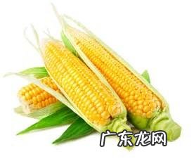 哪些食物是天然抗癌之王? 洋葱是抗癌的最佳食物