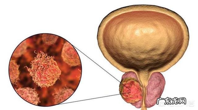 备孕几年,做了各项检查,都正常就是不孕,是不是有必要看中医?