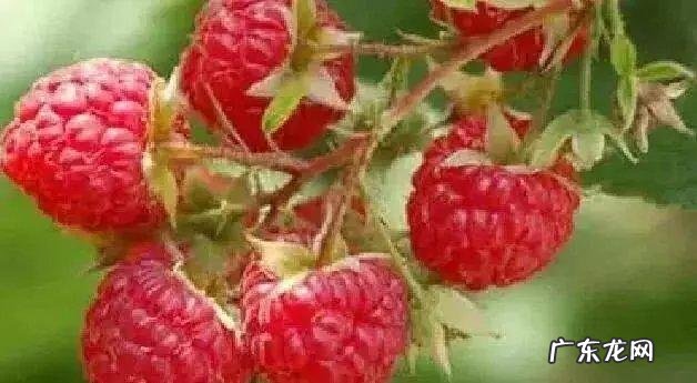 你小时候吃过的零食都有什么?