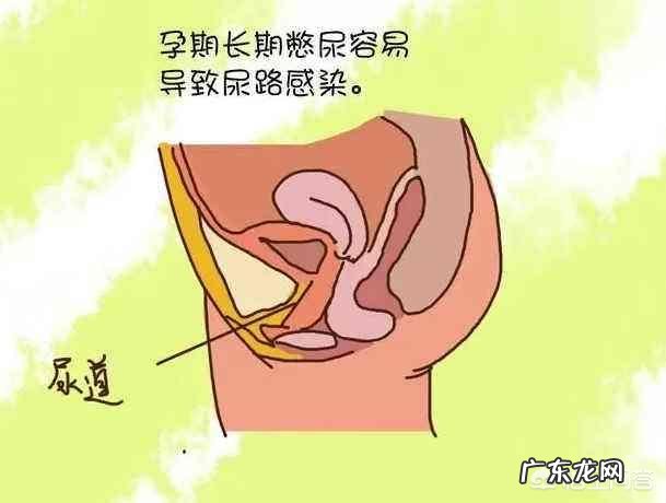 妊娠期在运动后,血糖会变高吗?