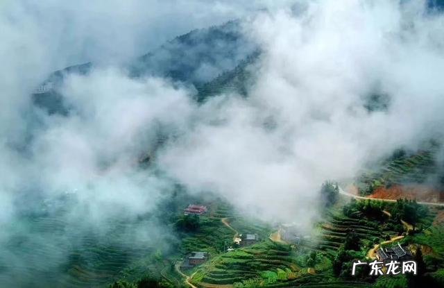 小西装应该怎么搭配显得更时尚呢？