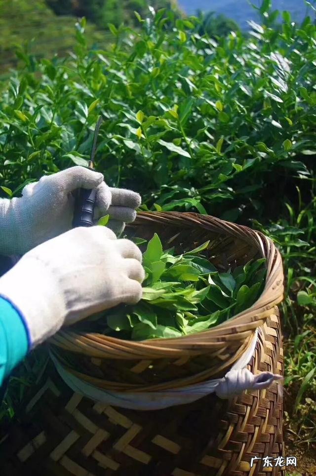 小西装应该怎么搭配显得更时尚呢？