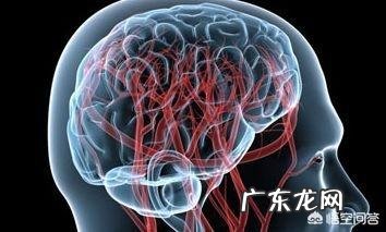 经常吃肉会不会容易引发脑梗疾病呢?