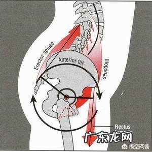 骨盆有点前倾该如何改善?