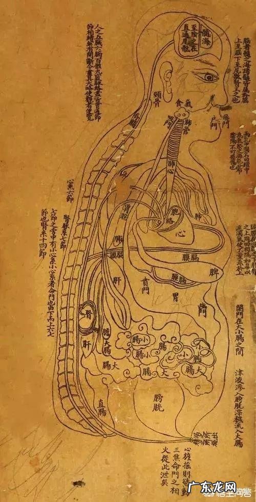 中医的“饮食有节,起居有常”是什么意思怎样做呢