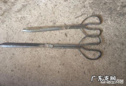 农村里现在还有拿夜黄蟮的习惯吗？主要用什么东西捉？