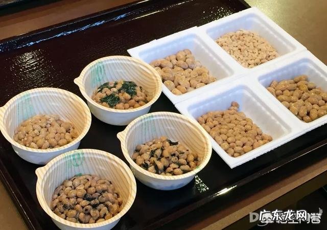 日本旅游值得一去的个性店? 日本必去的100个店铺