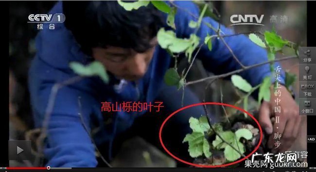 舌尖2爆料:那陪读母女作假你们知道哇!