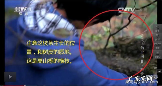 舌尖2爆料:那陪读母女作假你们知道哇!