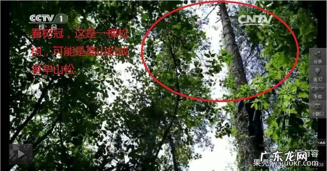 舌尖2爆料:那陪读母女作假你们知道哇!