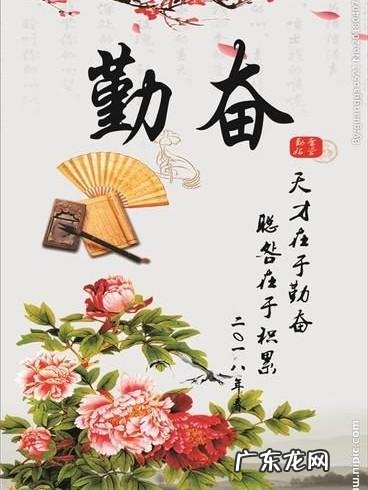 为什么有的vlog质量低却有几十万播放量?