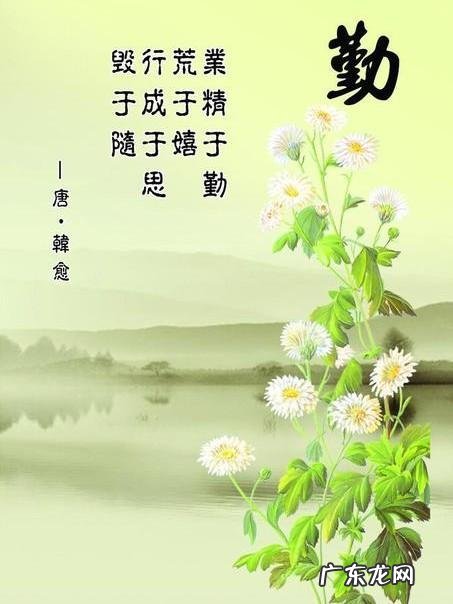 为什么有的vlog质量低却有几十万播放量?