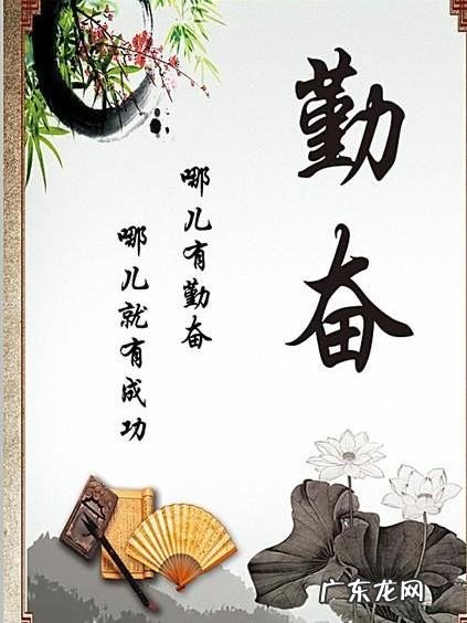 为什么有的vlog质量低却有几十万播放量?