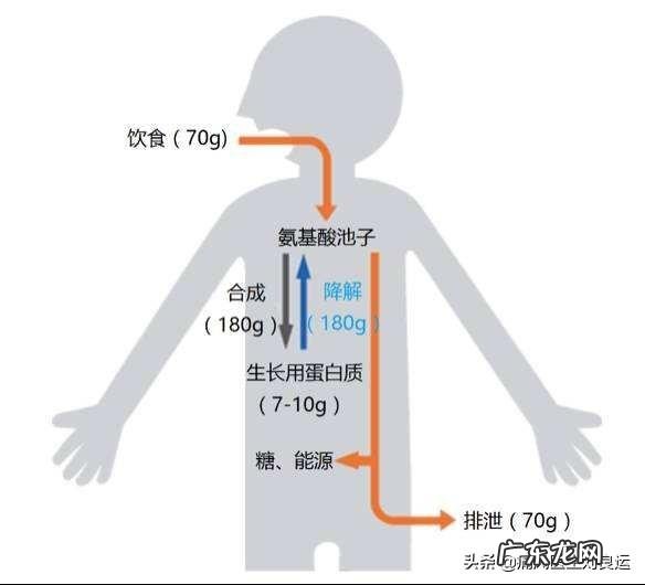 多饮牛奶对痛风有什么好处