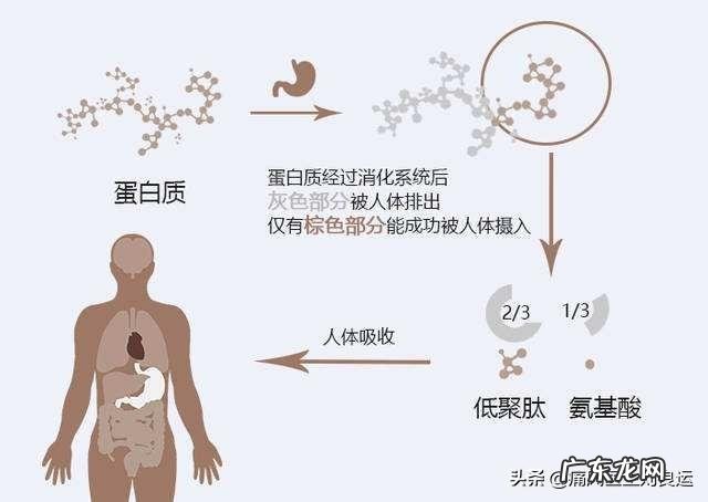 多饮牛奶对痛风有什么好处