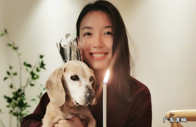 公认的“世界级美女”,曾拒绝豪门与众男星,如今生活让众人感慨