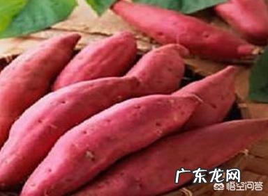 你觉得红薯生吃好还是熟吃好?为什么?