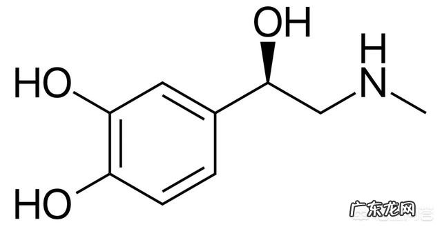 身体缺少什么东西脂肪会容易囤积?