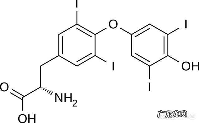 身体缺少什么东西脂肪会容易囤积?