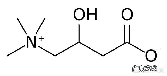 身体缺少什么东西脂肪会容易囤积?