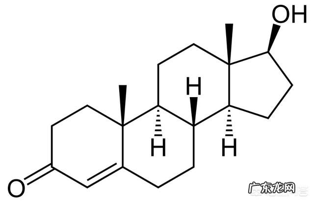 身体缺少什么东西脂肪会容易囤积?