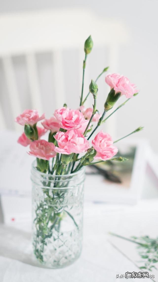 男朋友家不给彩礼，还有必要结婚吗？ 男朋友说不给彩礼了怎么办