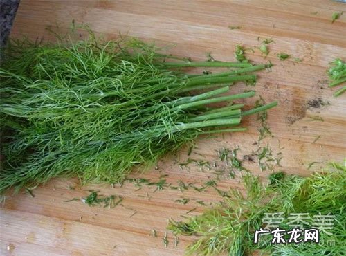 茴香草是什么 茴香草孕妇可以吃吗