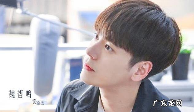 下一站是幸福常欢扮演者,网传魏哲鸣已婚