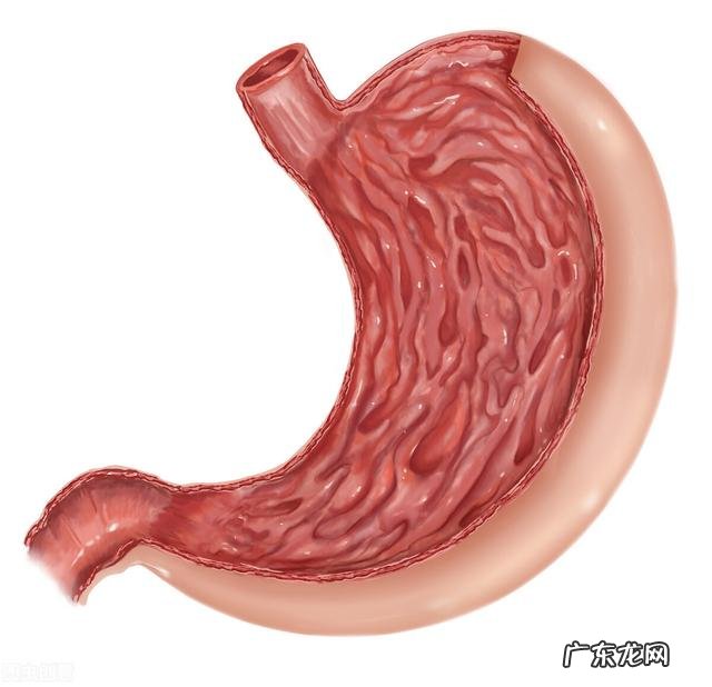 胃癌是由于胃部疾病引起的吗?哪些因素会引发胃癌? 哪些胃部疾病会变成胃癌