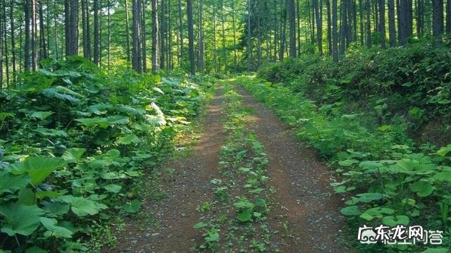 《向往的生活》第三季，你最喜欢哪一期？