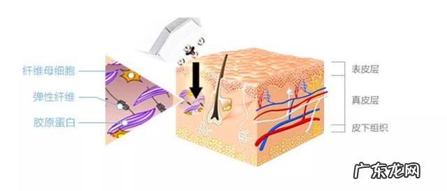 口服胶原蛋白真的有用吗？