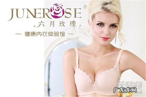 六月玫瑰内衣怎么样 六月玫瑰内衣到底值不值得买