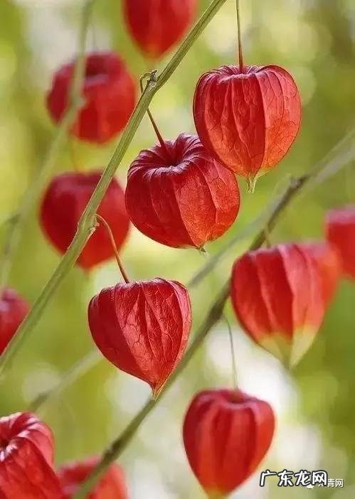 为什么现在生活越好,各种疾病怪病反而越来越多