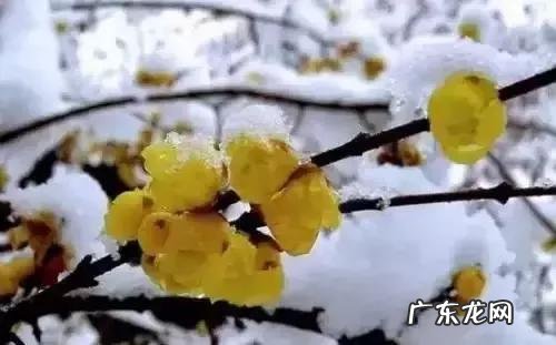 为什么现在生活越好,各种疾病怪病反而越来越多