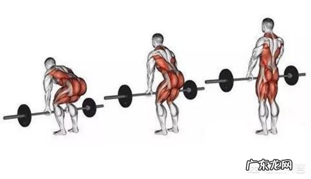 为什么重量阻力训练腰部容易出问题