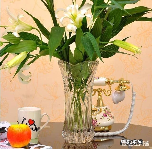 长寿花叶子变黄掉落怎么办?