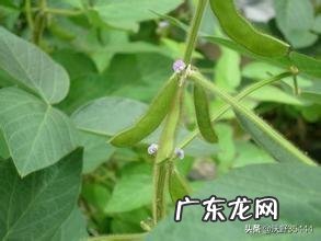 现在什么行业最适应七零后创业?