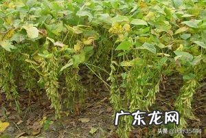 现在什么行业最适应七零后创业?