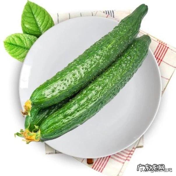 什么美食大口吃都不会长胖推荐下？