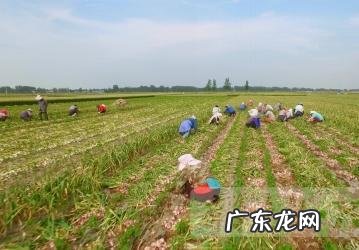 那些不做满月发汗的产妇最后都怎样了?满月发汗真的有必要做吗?