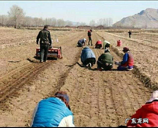 那些不做满月发汗的产妇最后都怎样了?满月发汗真的有必要做吗?