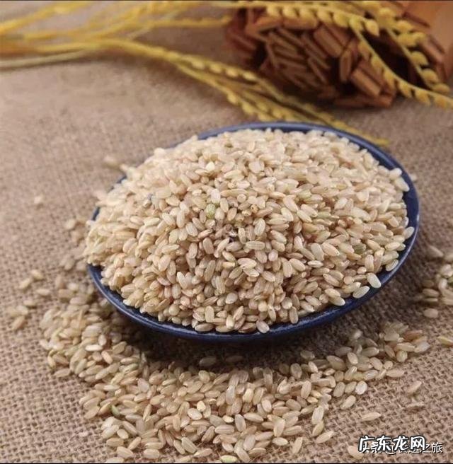 减肥吃全麦馒头或糙米,哪种好?