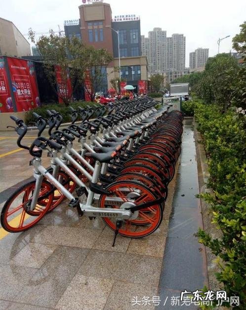 芜湖来了共享单车,你们怎么看?