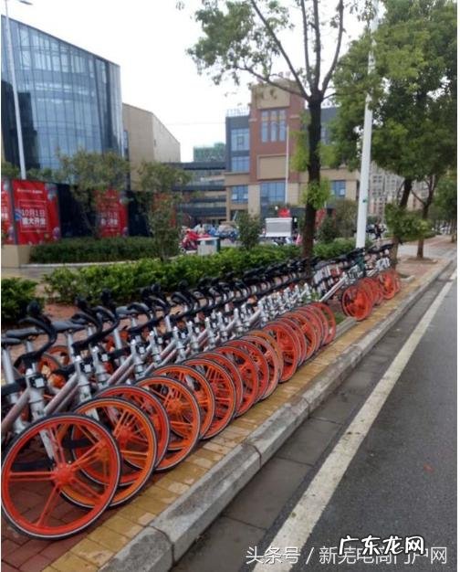 芜湖来了共享单车,你们怎么看?