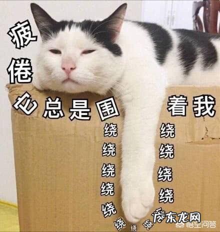 喜欢独处的生活方式到底好不好呢